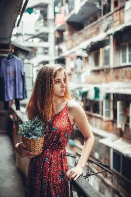 食物链韩剧在线观看免费高清