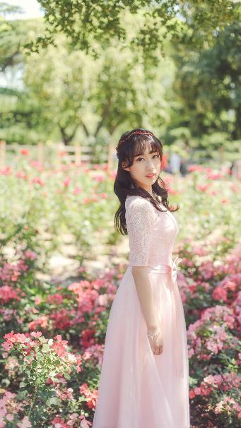 九重紫电视剧免费观看全集在线播放