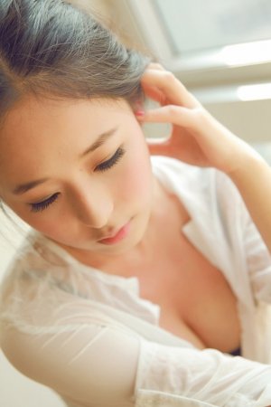 2026新澳正版资科免费实