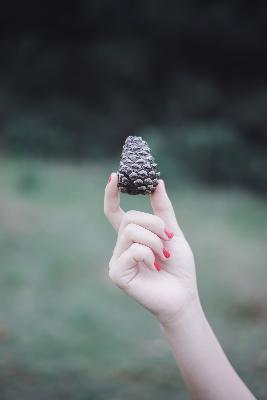 八戒八戒电影在线看免费观看完整版