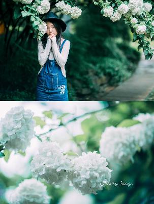 秘密花园真人版免费全集