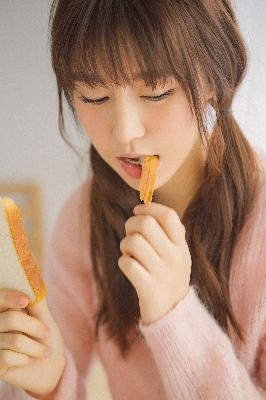 喜羊羊与灰太狼