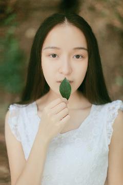 茶杯狐官方版官网