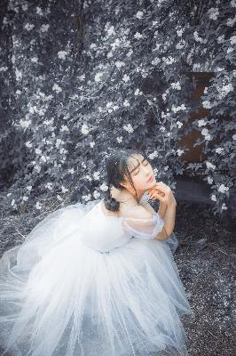 炽道电视剧全集免费观看